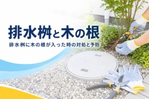 排水桝に木の根が入った時の対処と予防、業者に頼む目安を解説する記事のアイキャッチ